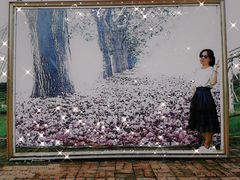 -广东花都香草世界旅游度假区