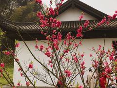 -常德桃花源景区