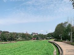-韶山毛泽东同志故居