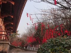 -西安青龙寺遗址景区