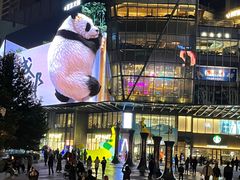 -合景·悠方(成都店)