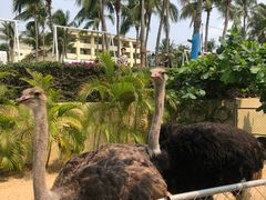 -三亚亚龙湾天域度假酒店