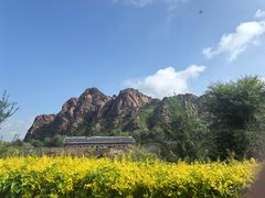 -红山国家森林公园