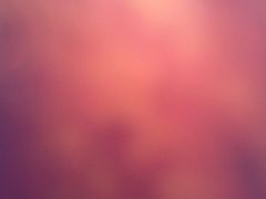 -桥头排骨(文泽园店)
