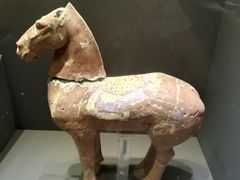 -秦始皇兵马俑博物馆-停车场