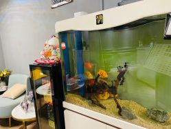 -妙睫屋日式美甲美睫