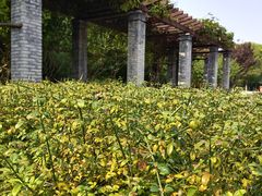 -永定河休闲森林公园