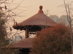 -五缘湾湿地公园