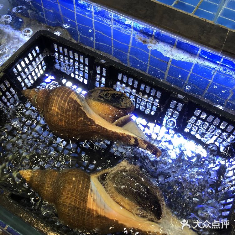 藏不住了💡这家海鲜楼简直是宴请天花板🎈