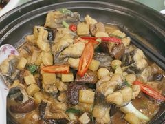 -泰谷酒店·太古码头闽菜自助餐厅