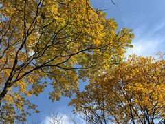 -杭州城北体育公园