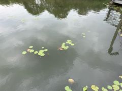 -阳澄湖费尔蒙酒店