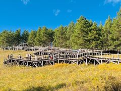 -莫尔道嘎国家森林公园