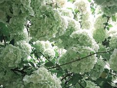 -大龙山(地铁站)