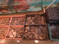 -光兴海鲜排档·小炒(莱利园店)