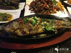 -鼎原力量东北吊炉烧烤(临河街店)