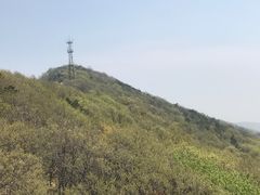 -紫金山天文台