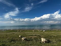 -青海湖国家重点风景名胜区