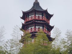 -绳金塔