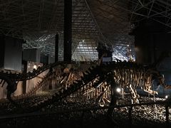 -世界恐龙谷景区