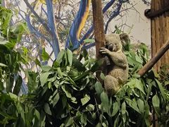 -广州长隆国际大马戏