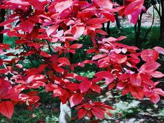 -贵阳市花溪国家城市湿地公园