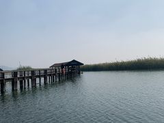 -苏州太湖湖滨国家湿地公园