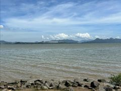 -深圳湾公园(南山区)