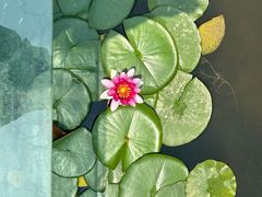 -白鹭湾湿地公园