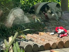 -大连森林动物园