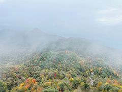 -九皇山景区