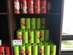 -优游吧斯邹族文化部落