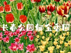 -长春公园(普阳街道)