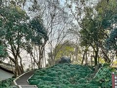 -上海方塔园