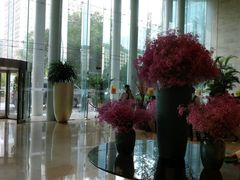 -北京好苑建国酒店