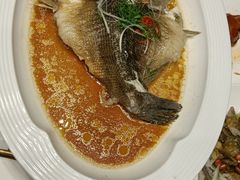 -广东道至正餐厅(区庄店)