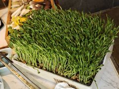 活体有机豆苗-捞神煲汤火锅(湖滨商业街店)