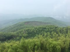 -蔡伦竹海