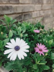 -大望京儿童游乐场