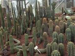 -南通洲际绿博园