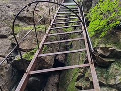 -玉泉威虎山森林公园