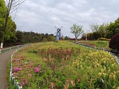 -铁山坪森林公园