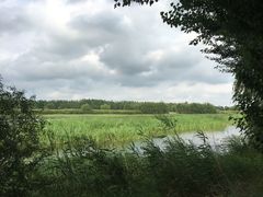 -蒲河岛湿地公园