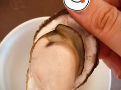 -碧桂园十里银滩