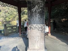 -龙井村