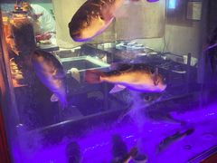 -桥岚·巷子鲜河豚鱼(专门店)