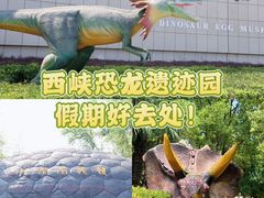-中国西峡恐龙遗迹园