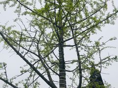 -梁祝景区