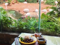 -海南热带野生动植物园