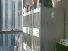 -萌兽医馆·眼科·异宠专科(三里屯店)